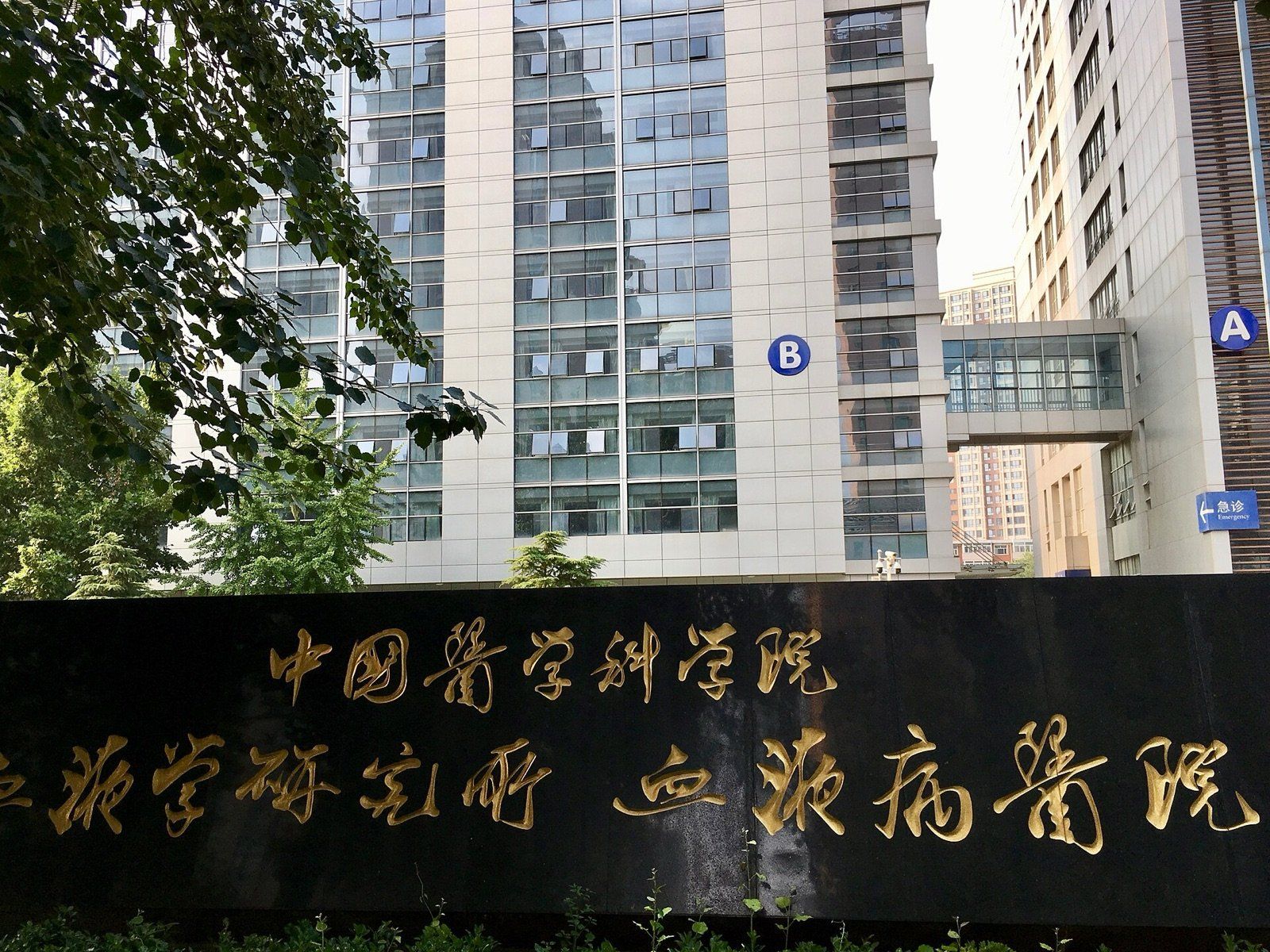 Institute of Hematology & Blood Diseases Hospital, CAMS