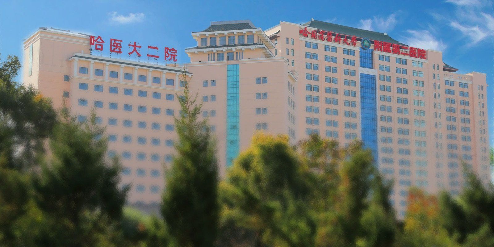 Second Affiliated Hospital of Harbin Medical University