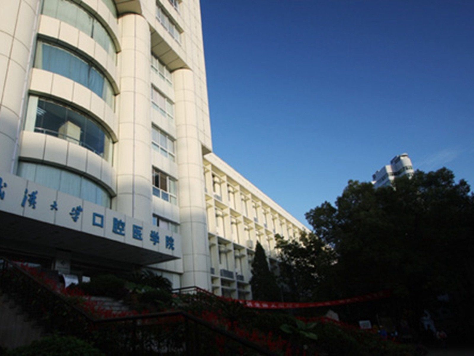 School & Hospital of Stomatology, Wuhan University